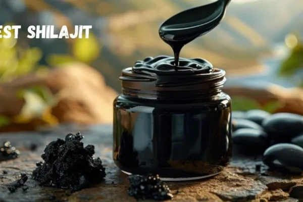 best shilajit