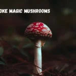 can you smoke magic mushrooms