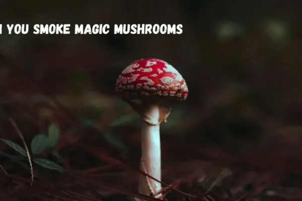 can you smoke magic mushrooms