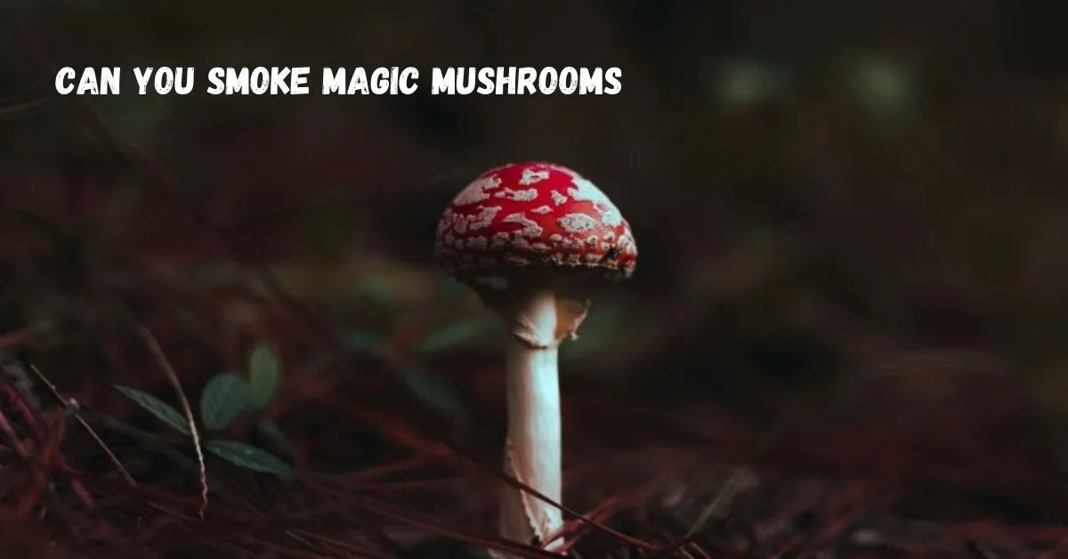 can you smoke magic mushrooms