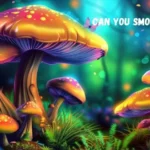 can you smoke shrooms