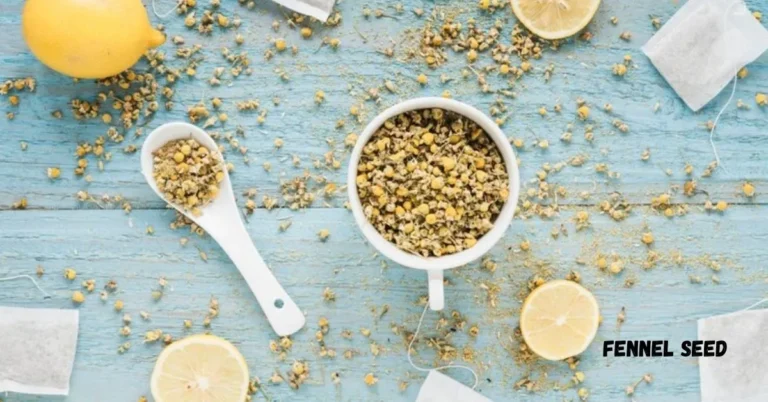 Fennel Seed Amazing Benefits and Uses for Health