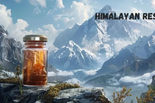 himalayan resin