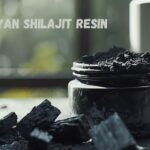 himalayan shilajit resin