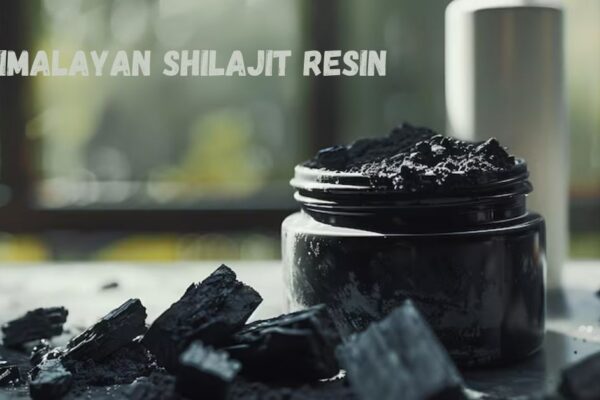 himalayan shilajit resin