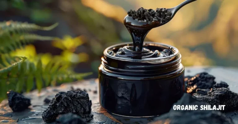 What Is Organic Shilajit and How Can It Benefit You?