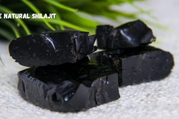 pure natural shilajit