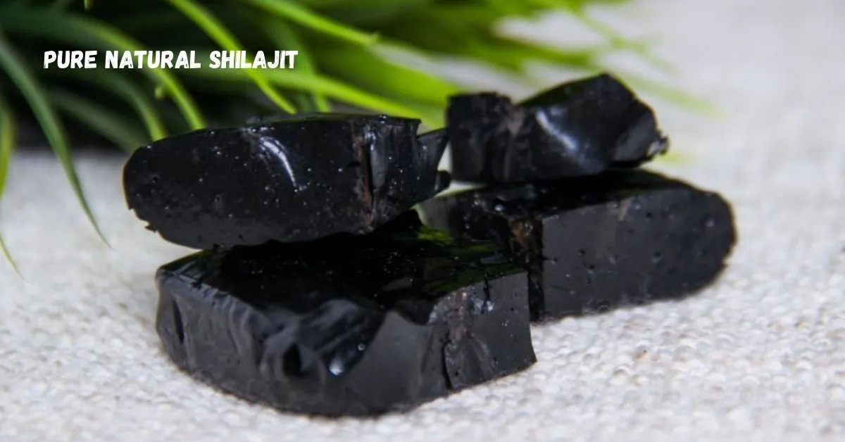 pure natural shilajit